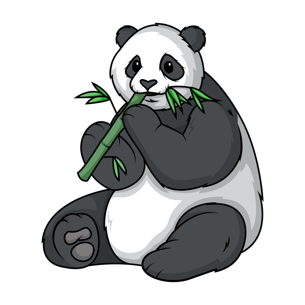Panda bear eating bamboo. PNG - JPG and vector EPS (infinitely scalable).