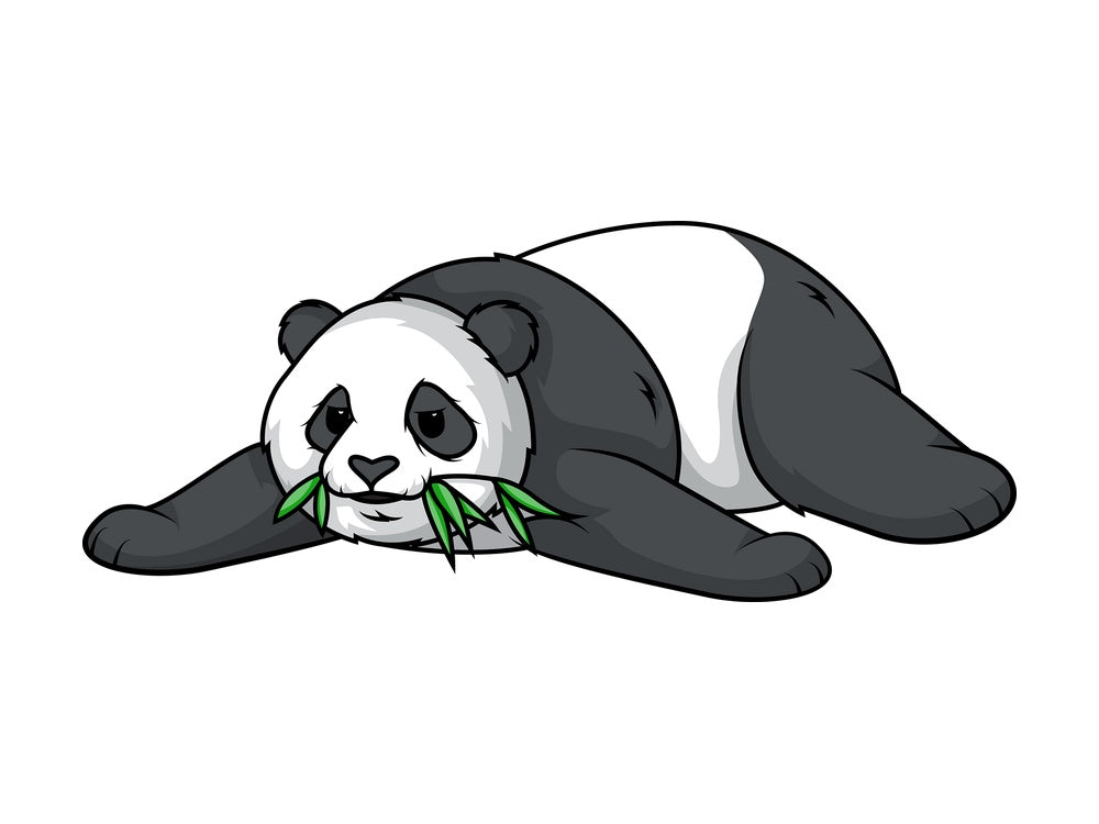 Lazy panda bear. PNG - JPG and vector EPS (infinitely scalable).