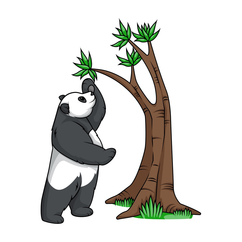 Panda bear reaching tree branch. PNG - JPG and vector EPS (infinitely scalable).