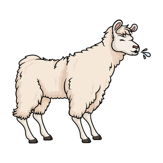 Llama spitting. PNG - JPG and vector EPS (infinitely scalable).