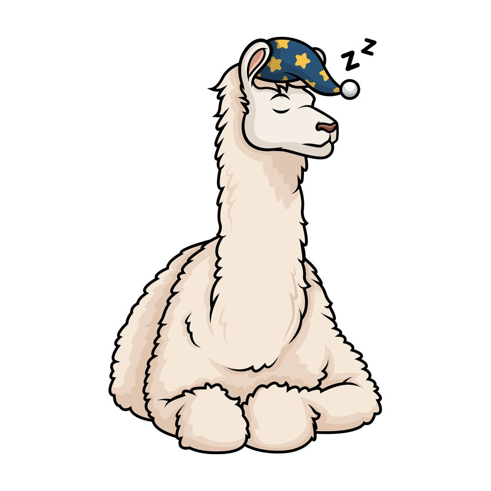 Llama sleeping. PNG - JPG and vector EPS (infinitely scalable).