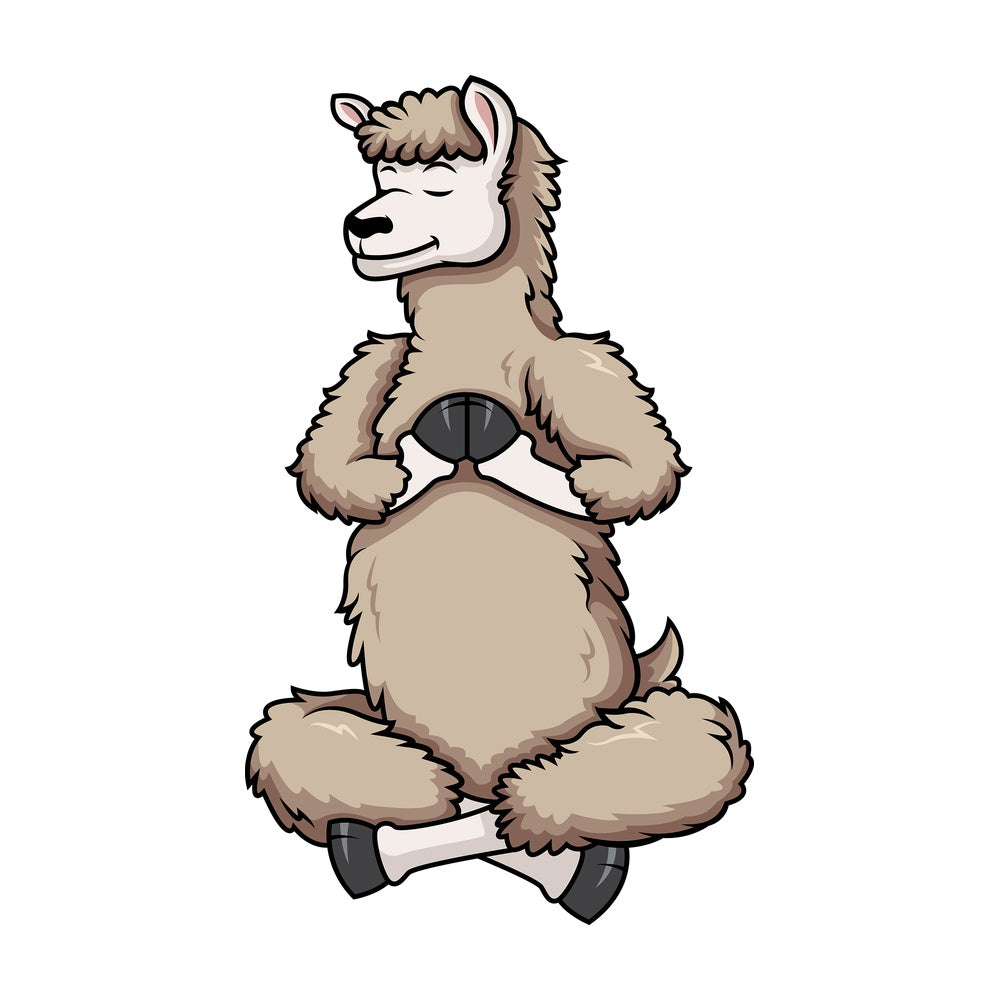 Llama doing yoga. PNG - JPG and vector EPS (infinitely scalable).