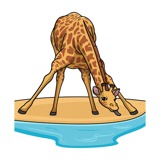 Giraffe drinking water from pond. PNG - JPG and vector EPS (infinitely scalable).