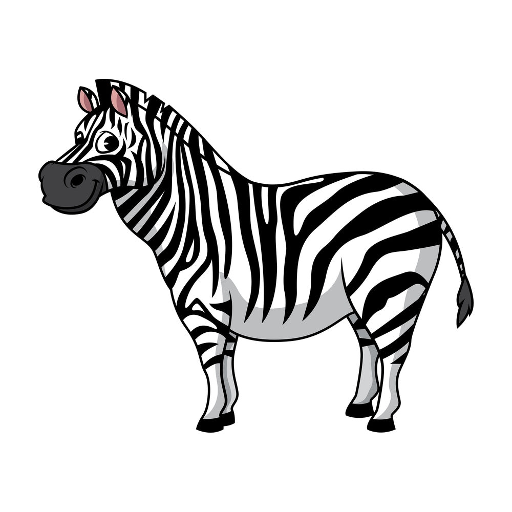 Fat zebra. PNG - JPG and vector EPS (infinitely scalable).