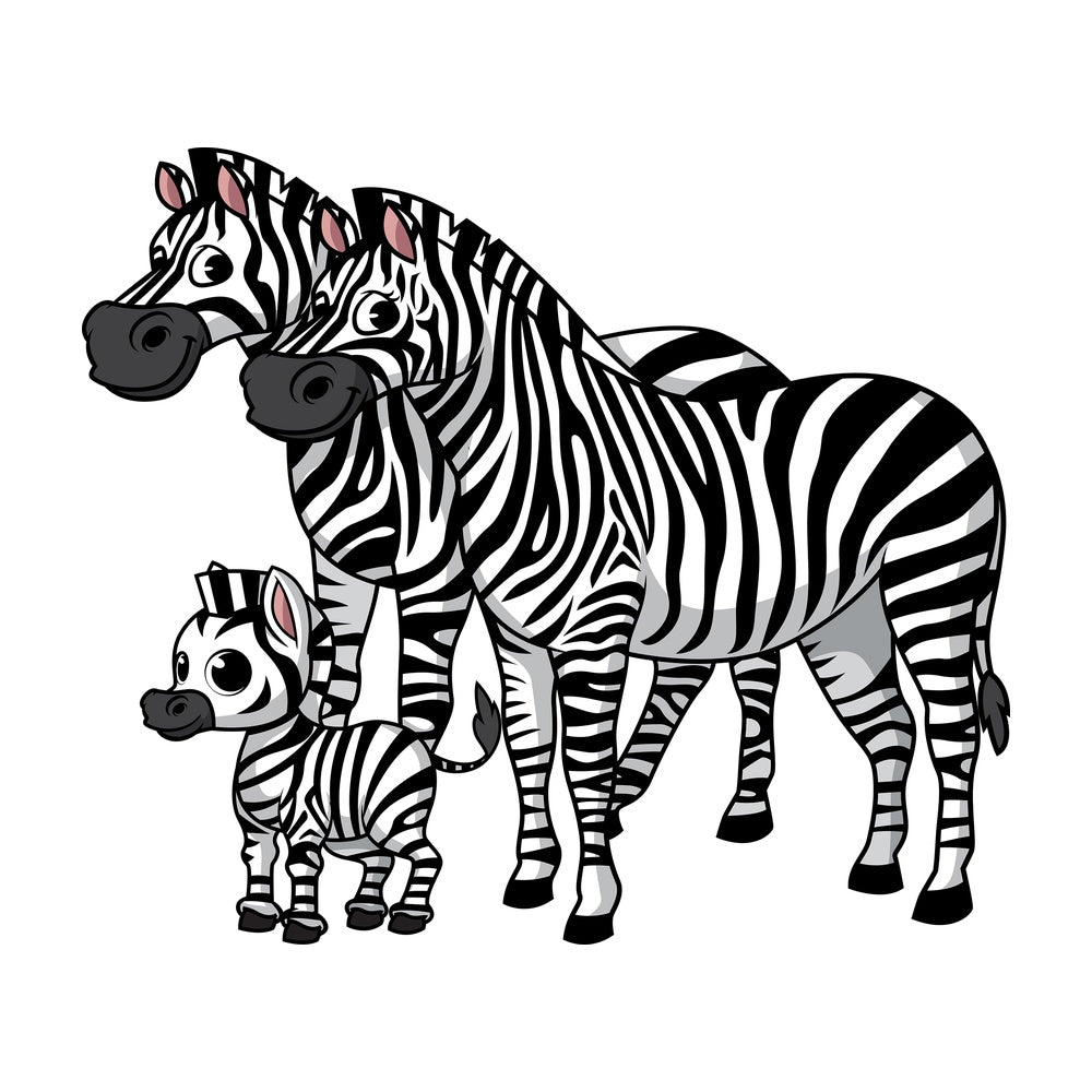 Zebra family. PNG - JPG and vector EPS (infinitely scalable).