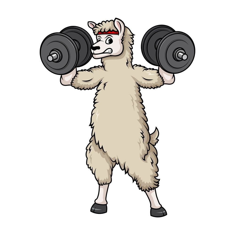Llama lifting dumbbells. PNG - JPG and vector EPS (infinitely scalable).