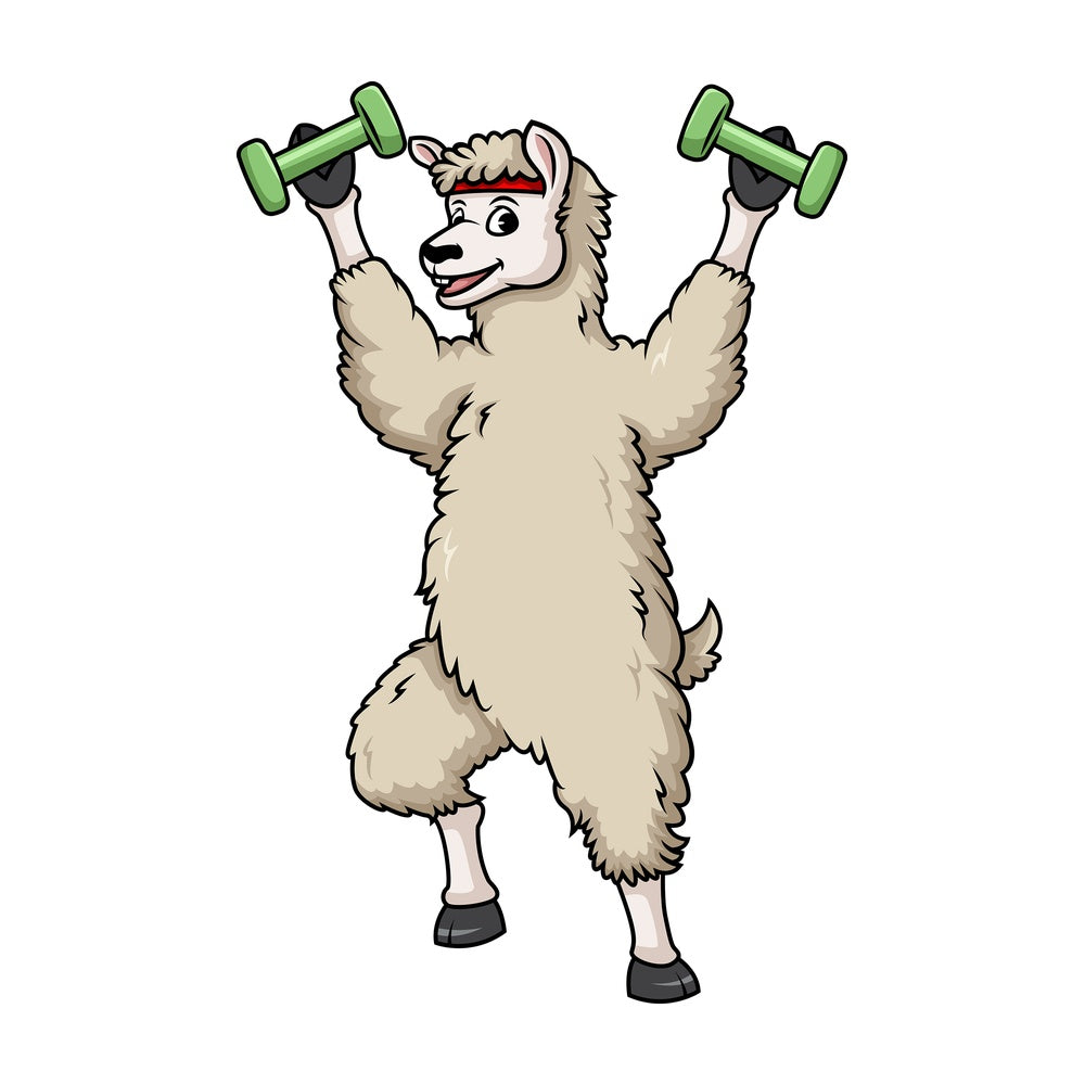 Llama lifting weights. PNG - JPG and vector EPS (infinitely scalable).