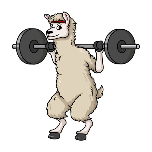 Llama doing squats with barbell. PNG - JPG and vector EPS (infinitely scalable).