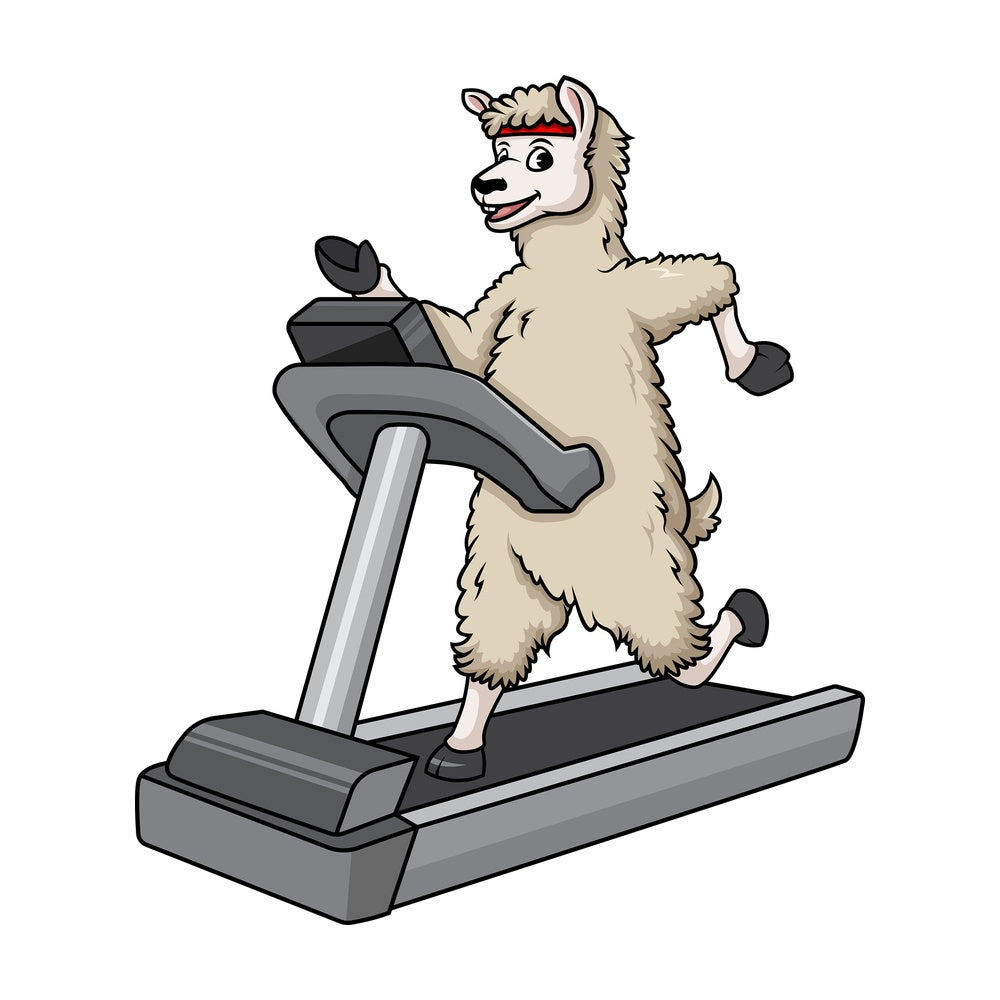 Llama running on treadmill. PNG - JPG and vector EPS (infinitely scalable).