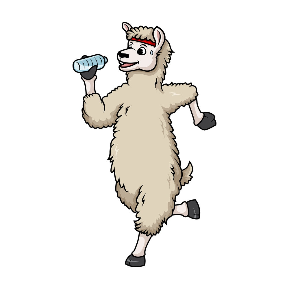 Llama jogging. PNG - JPG and vector EPS (infinitely scalable).
