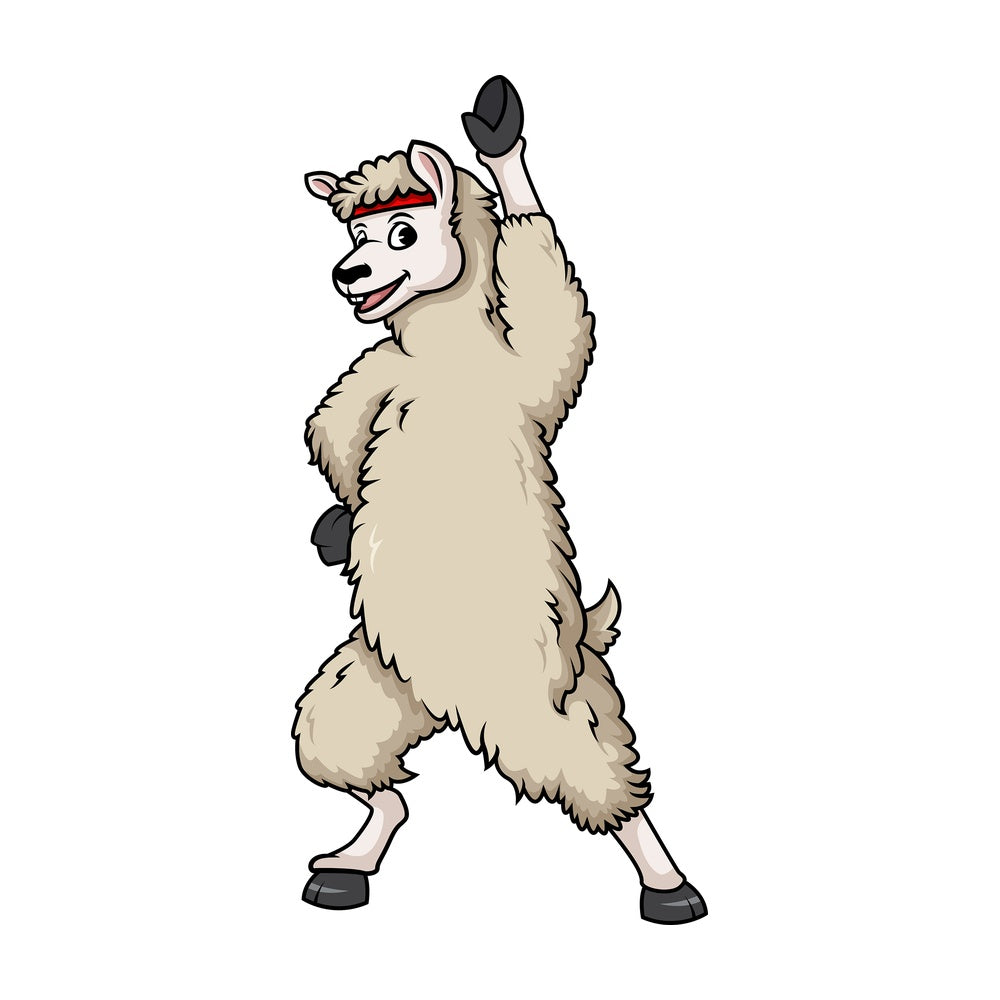 Llama doing stretches. PNG - JPG and vector EPS (infinitely scalable).