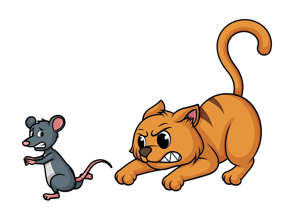 Cat chasing mouse. PNG - JPG and vector EPS (infinitely scalable).