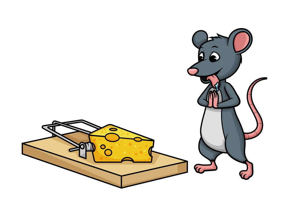 Mouse standing near trap. PNG - JPG and vector EPS (infinitely scalable).