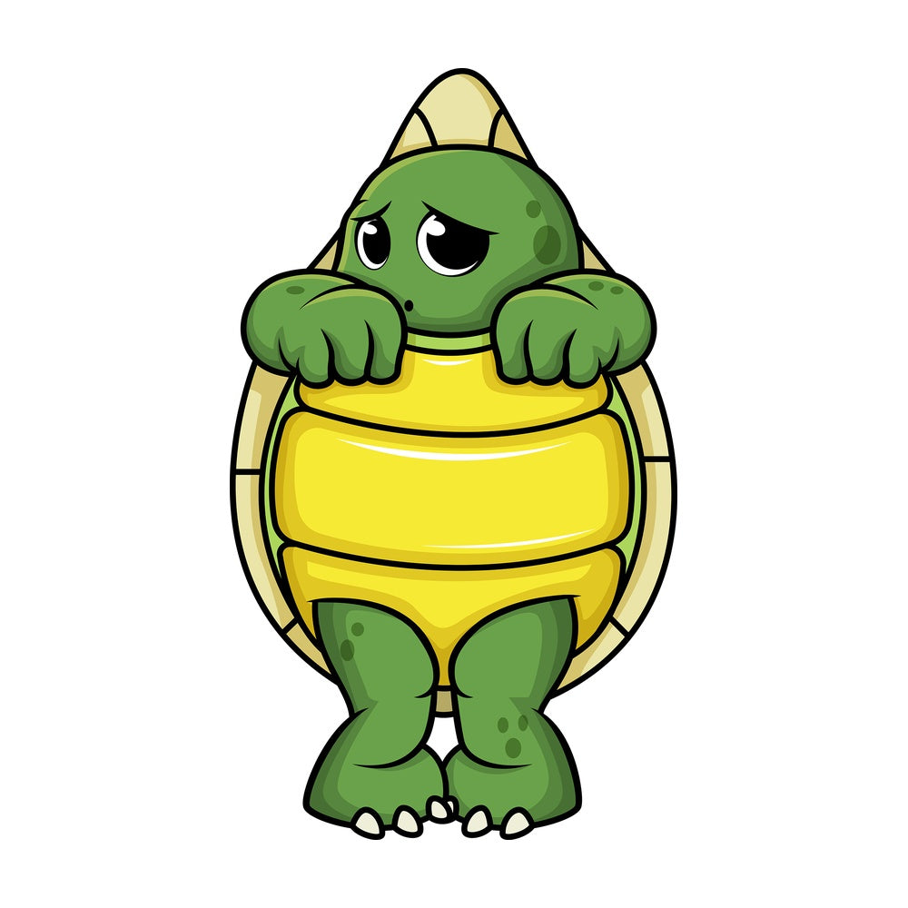 Turtle hiding in its shell. PNG - JPG and vector EPS (infinitely scalable).