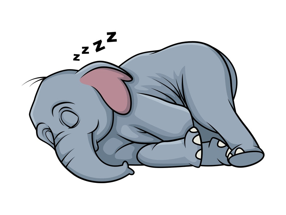 Sleeping elephant. PNG - JPG and vector EPS (infinitely scalable).