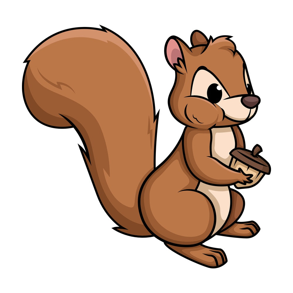 Squirrel eating a nut. PNG - JPG and vector EPS (infinitely scalable).