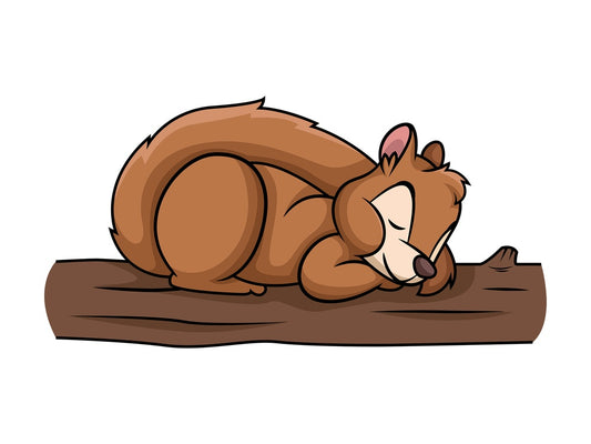Squirrel sleeping. PNG - JPG and vector EPS (infinitely scalable).