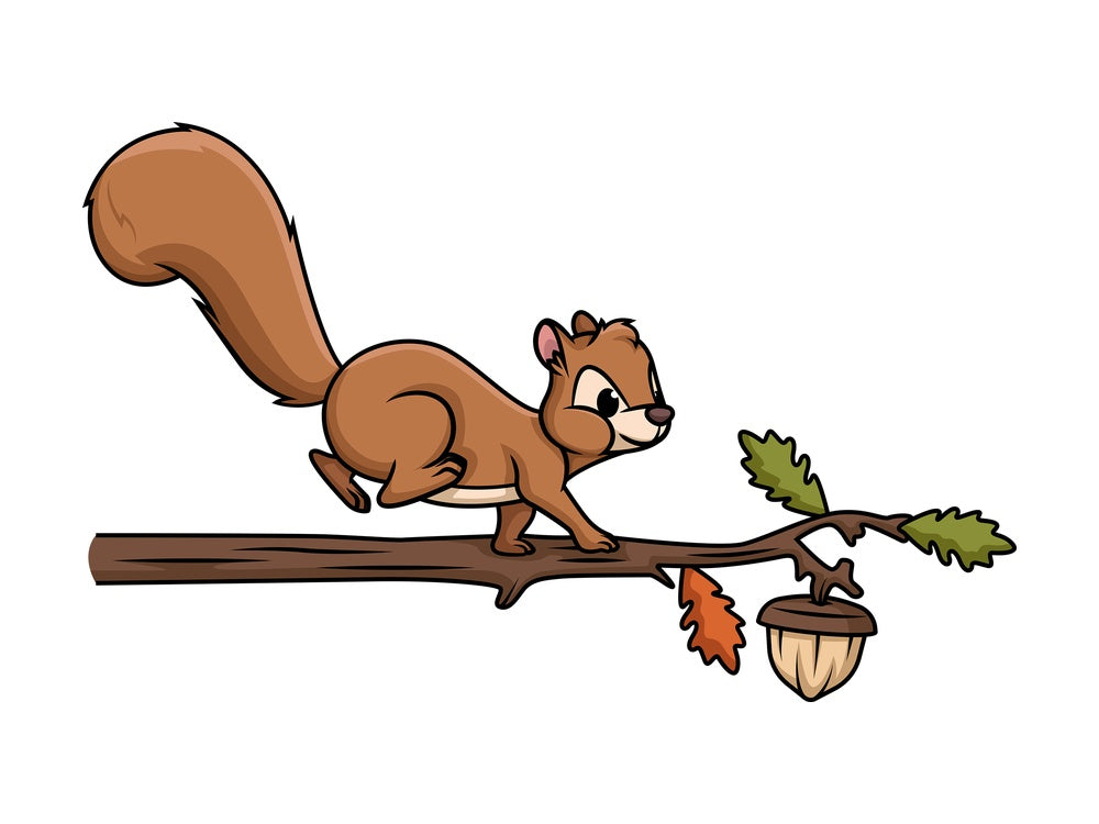 Squirrel walking on tree branch. PNG - JPG and vector EPS (infinitely scalable).