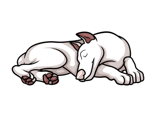 American female white doberman sleeping. PNG - JPG and vector EPS (infinitely scalable).