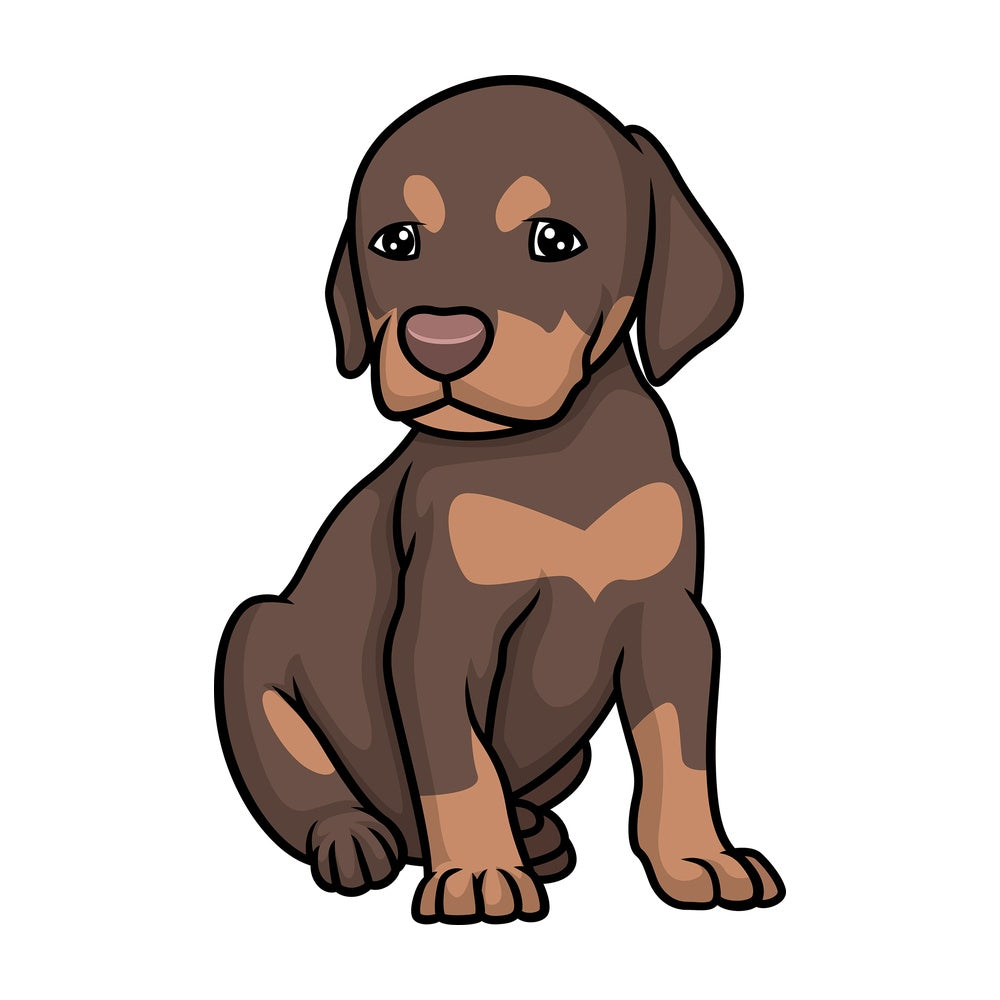 Cute doberman puppy. PNG - JPG and vector EPS (infinitely scalable).