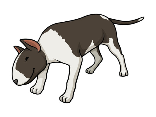 Black brindle bull terrier sniffing. PNG - JPG and vector EPS (infinitely scalable).