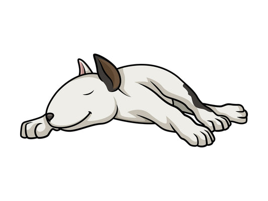 White bull terrier sleeping. PNG - JPG and vector EPS (infinitely scalable).