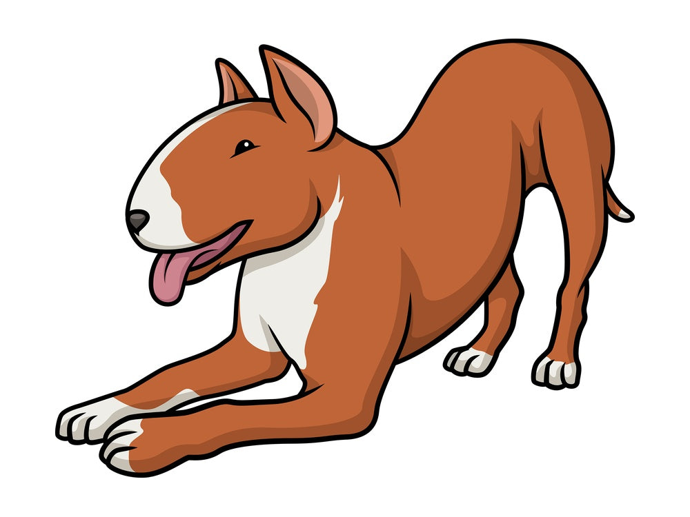 Playful bull terrier. PNG - JPG and vector EPS (infinitely scalable).