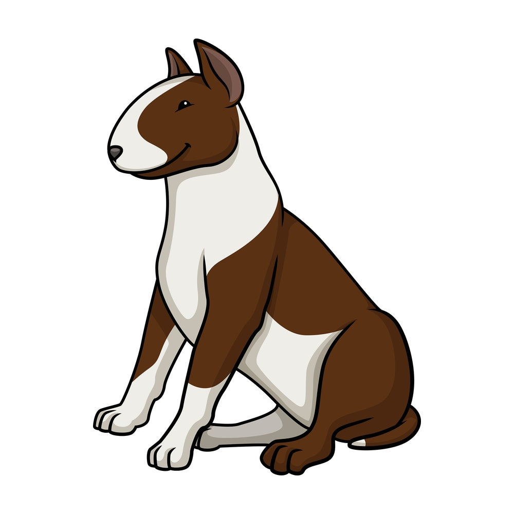Obedient bull terrier sitting. PNG - JPG and vector EPS (infinitely scalable).