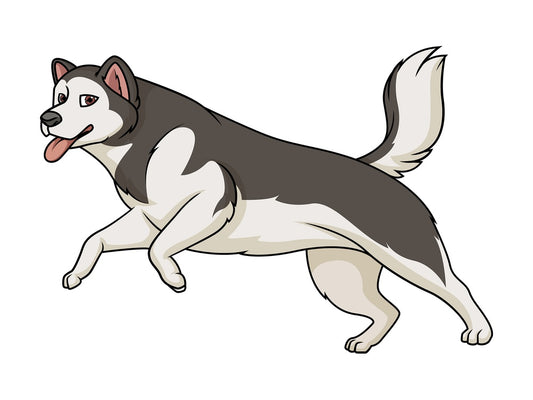 Alaskan malamute running. PNG - JPG and vector EPS (infinitely scalable).