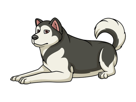 Alaskan malamute lying down. PNG - JPG and vector EPS (infinitely scalable).