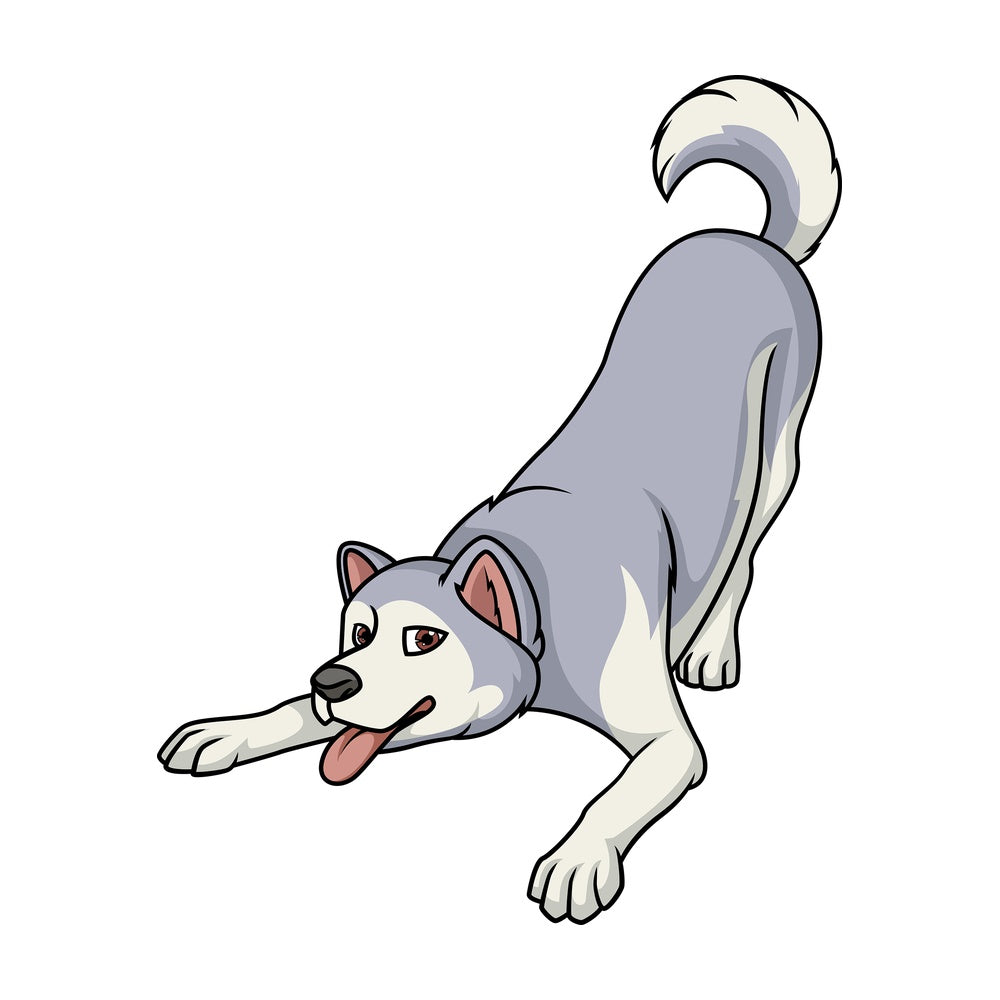Playful alaskan malamute. PNG - JPG and vector EPS (infinitely scalable).