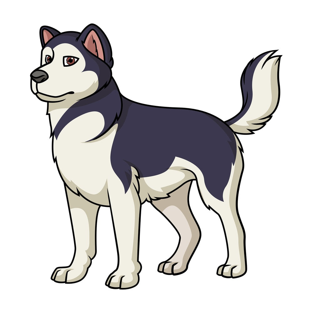 Cheerful alaskan malamute. PNG - JPG and vector EPS (infinitely scalable).
