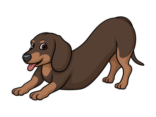 Playful dachshund. PNG - JPG and vector EPS (infinitely scalable).
