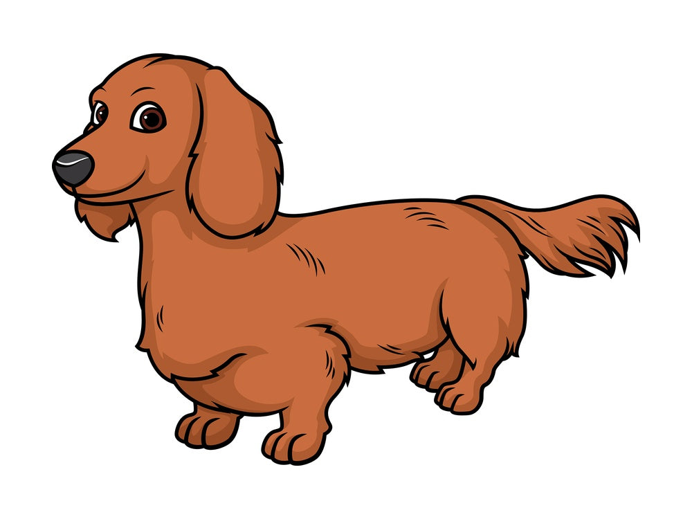 Cheerful dachshund. PNG - JPG and vector EPS (infinitely scalable).