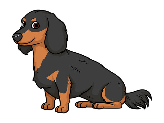 Obedient dachshund. PNG - JPG and vector EPS (infinitely scalable).
