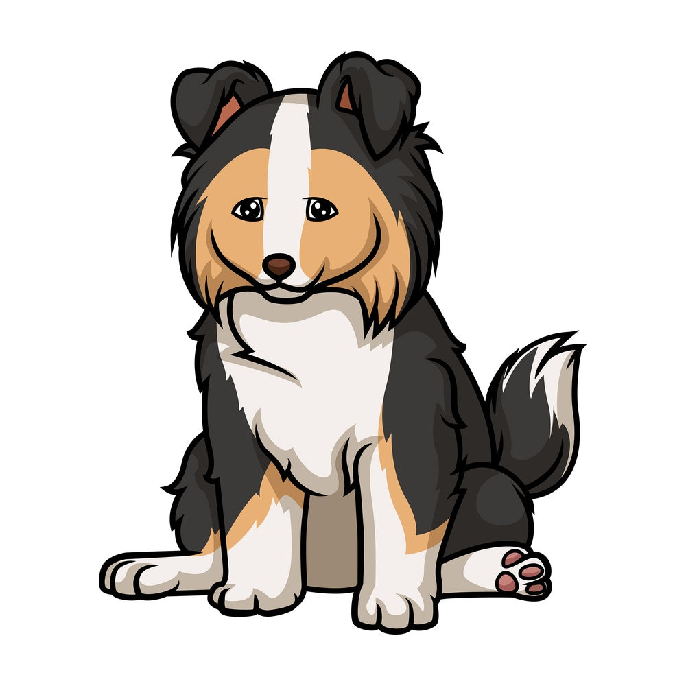 Cute collie puppy. PNG - JPG and vector EPS (infinitely scalable).