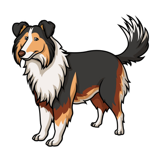 Cheerful collie. PNG - JPG and vector EPS (infinitely scalable).