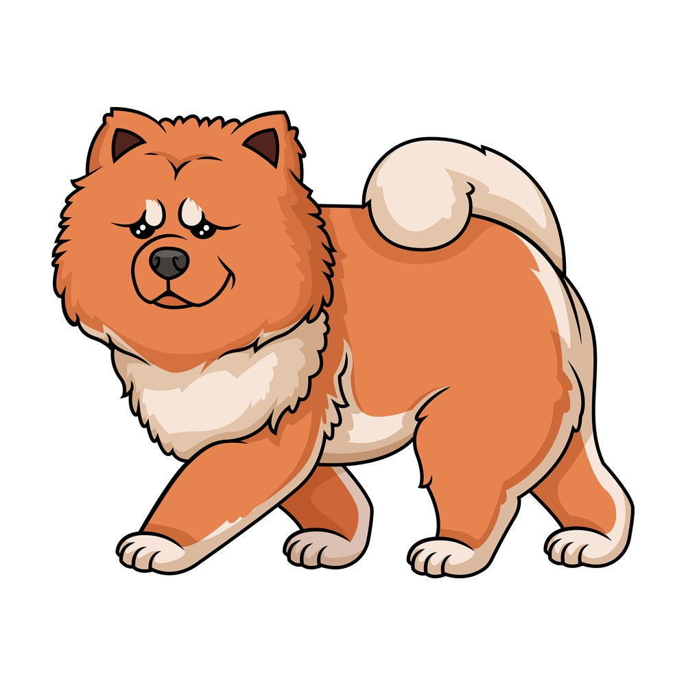 Red chow chow walking. PNG - JPG and vector EPS (infinitely scalable).