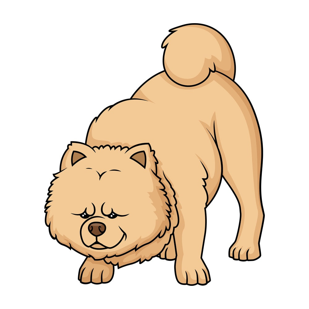 Cinnamon chow chow sniffing. PNG - JPG and vector EPS (infinitely scalable).