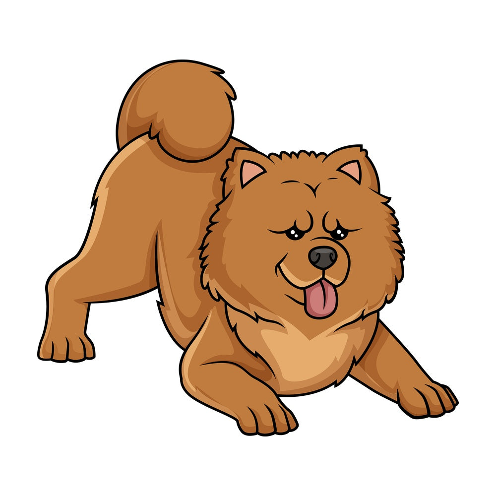 Playful chow chow. PNG - JPG and vector EPS (infinitely scalable).