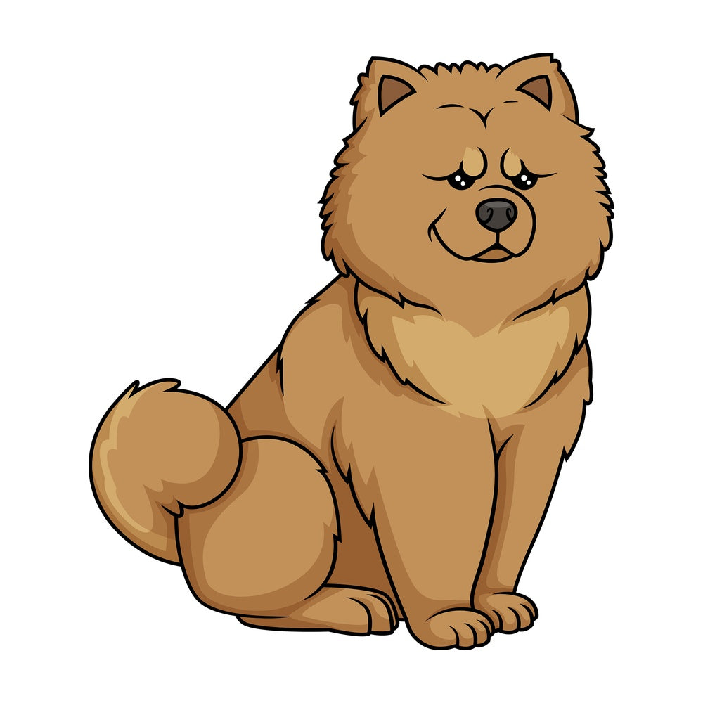 Obedient chow chow sitting. PNG - JPG and vector EPS (infinitely scalable).