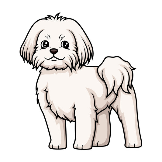 Cheerful maltese. PNG - JPG and vector EPS (infinitely scalable).
