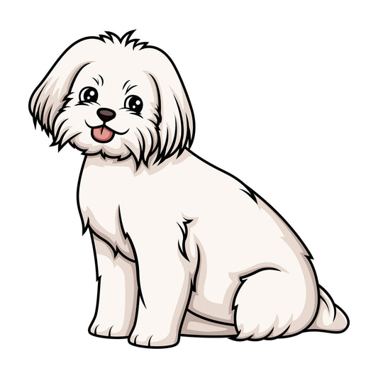 Obedient maltese sitting. PNG - JPG and vector EPS (infinitely scalable).