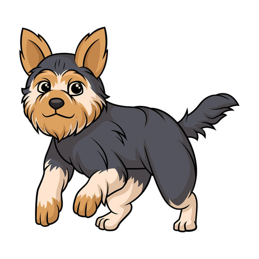 Yorkshire terrier running. PNG - JPG and vector EPS (infinitely scalable).