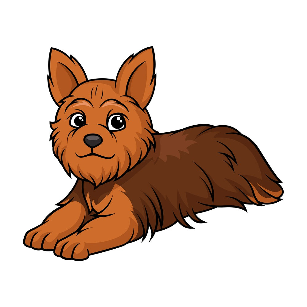 Yorkshire terrier lying down. PNG - JPG and vector EPS (infinitely scalable).