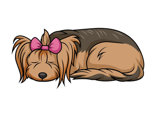 Sleeping female yorkie. PNG - JPG and vector EPS (infinitely scalable).