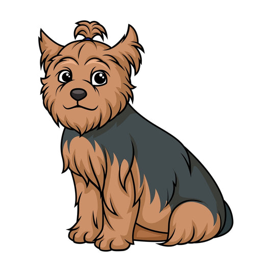 Obedient yorkshire terrier sitting. PNG - JPG and vector EPS (infinitely scalable).