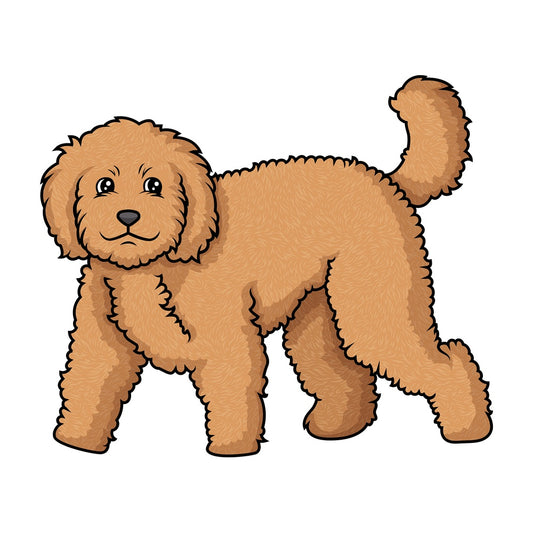 Labradoodle walking. PNG - JPG and vector EPS (infinitely scalable).