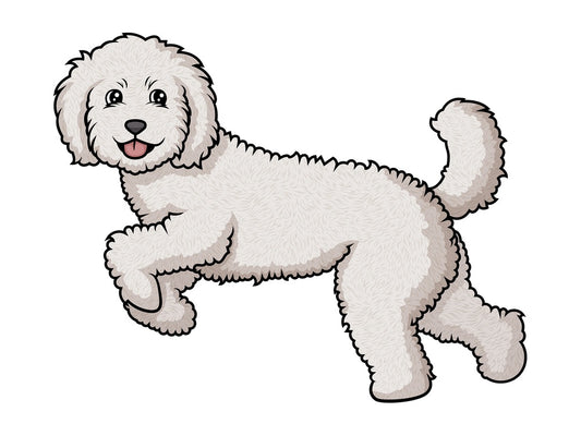 Labradoodle running. PNG - JPG and vector EPS (infinitely scalable).