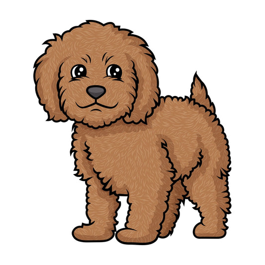 Cute labradoodle puppy. PNG - JPG and vector EPS (infinitely scalable).